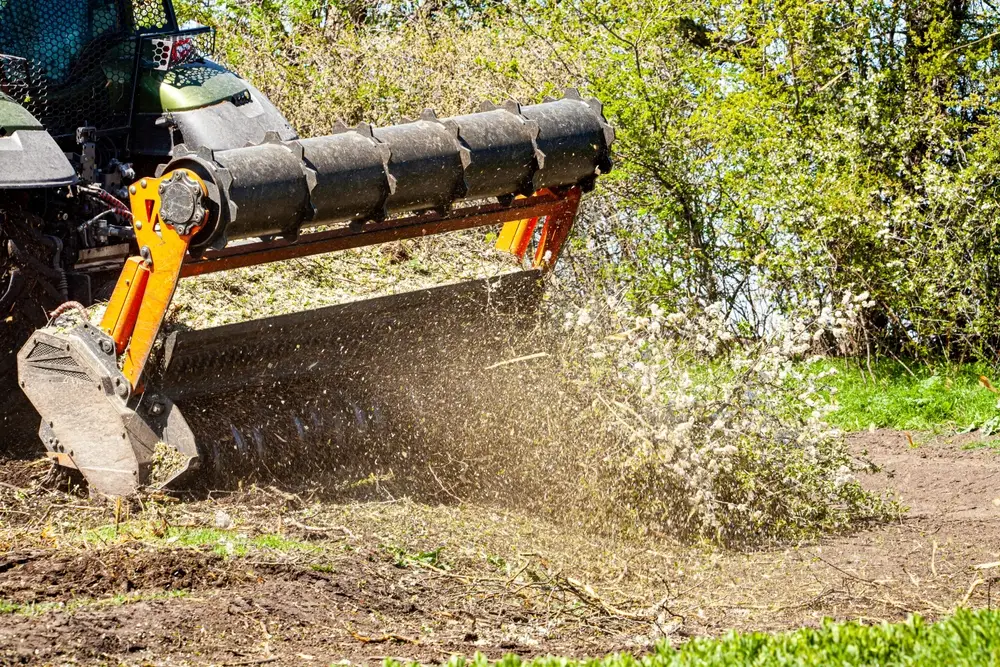 Best brush cutters