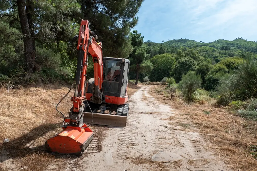 brush cutter forest