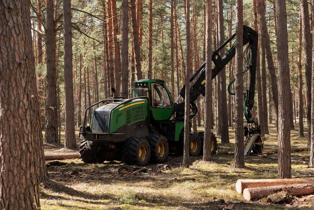brush cutter safety