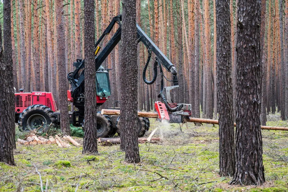 brush cutter safety
