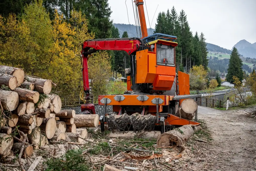 machine cutter forest