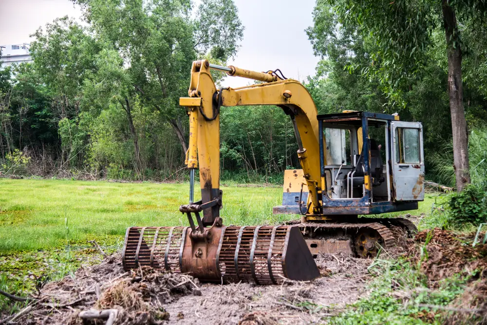 Forestry felling