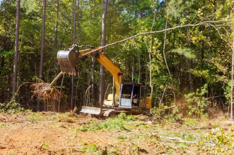 Hydraulic forest