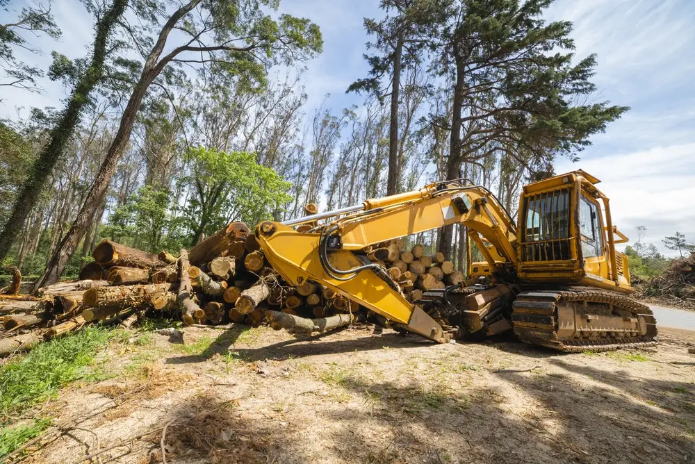 forestry equipment