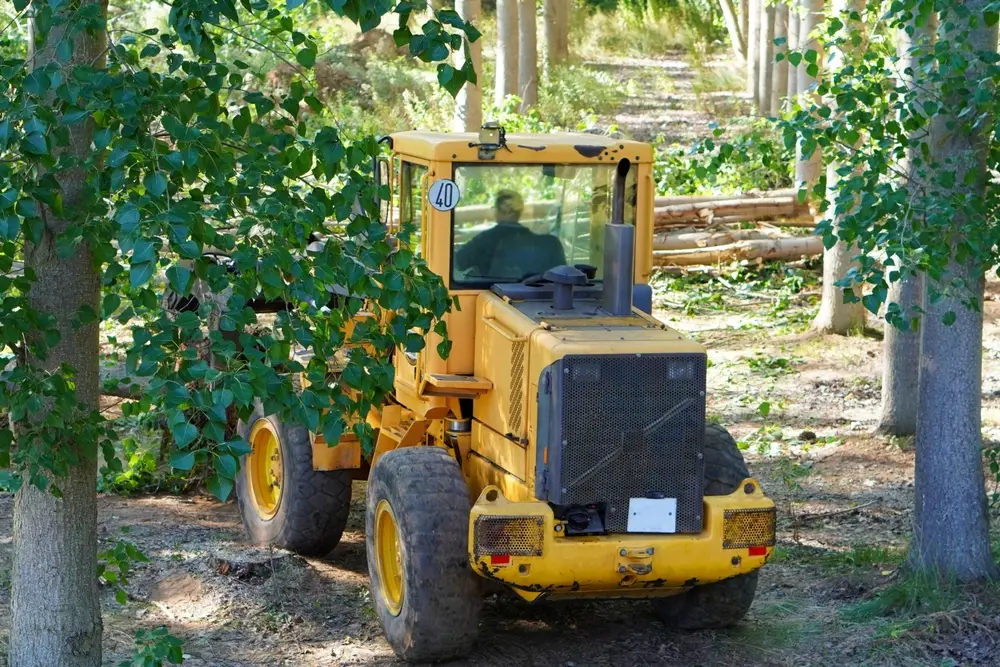 machines for seasonal storage