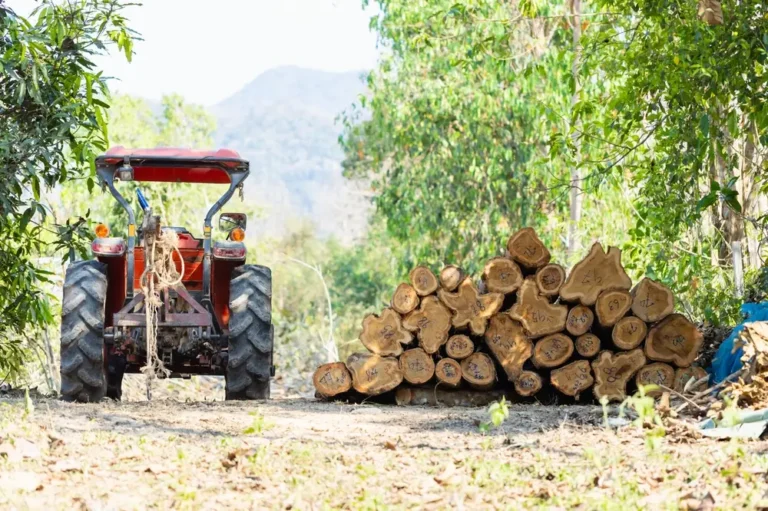 machines for seasonal storage