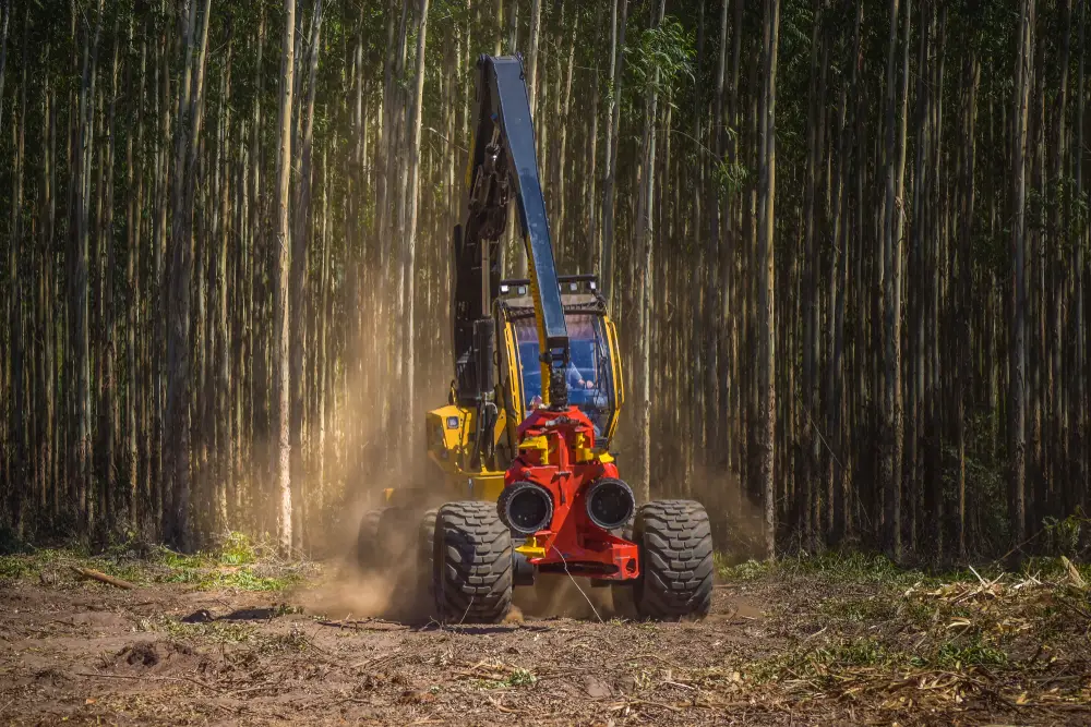 skidder forest