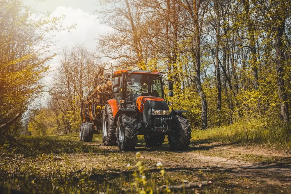 heavy forestry equipment